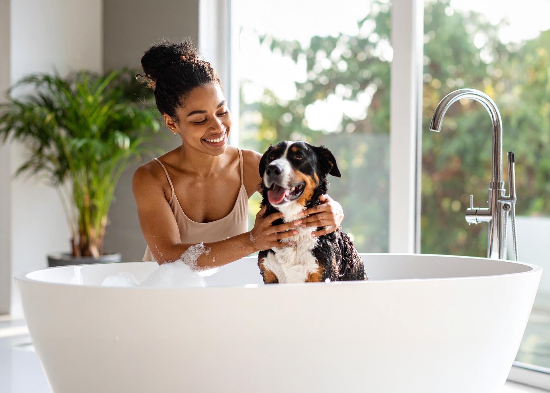 Hygiëne- en verzorgingsproducten voor honden, zorgvuldig geselecteerd voor optimale verzorging – verkrijgbaar bij Hondenhoek.