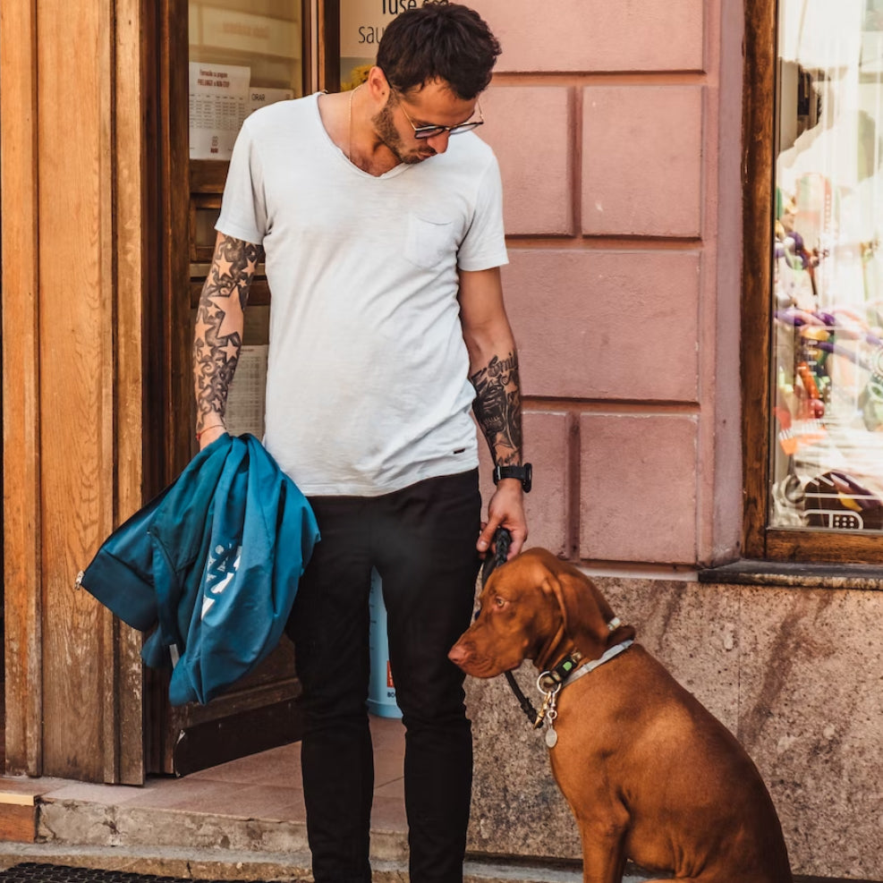 Schitterend door het Leven - Kleding voor Baasjes - de Hondenhoek