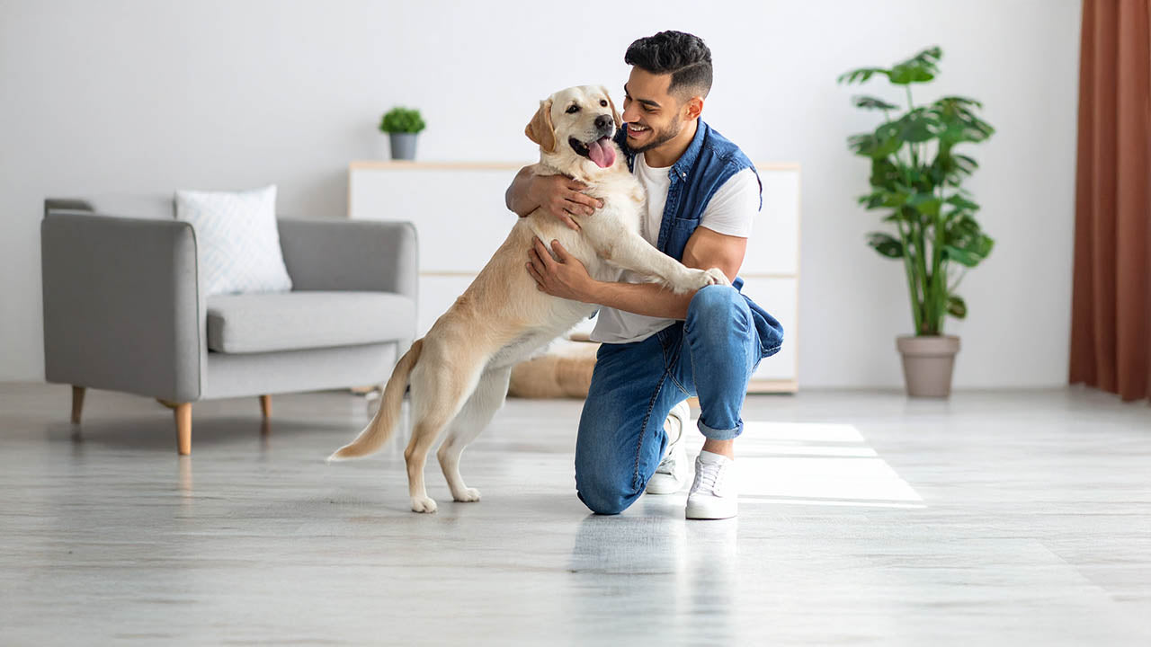 Hondenhoek Baasje Hond online winkel Voor baasjes van trouwe viervoeters hebben wij van Hondenhoek geweldige kledingstukken en accessoires geselecteerd! Bekijk ze snel en ga stijlvol over straat.