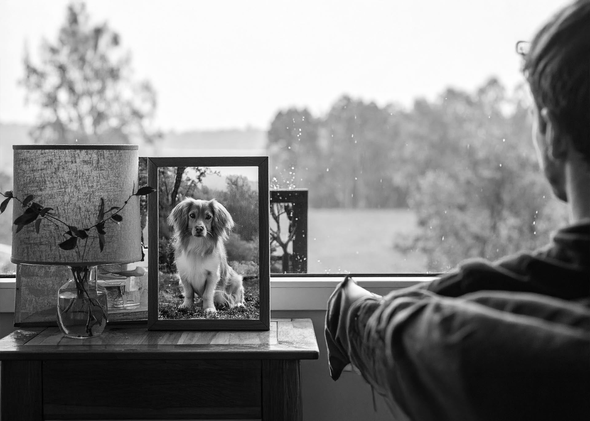 Herdenking Lijstje - Hond - Kat - Overleden - Herdenking - Kunt Een Foto En Halsband Toevoegen Afscheid Nemen Bestaat Niet Herdenking Lijstje - Hond - Kat - Overleden - Herdenking - Kunt Een Foto En Halsband Toevoegen Afscheid Nemen Bestaat Niet