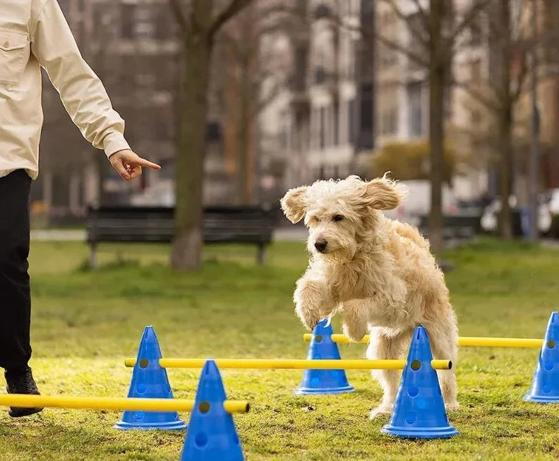 PawsInMotion Training Obstakels - Mix van Spel en Oefening - Honden