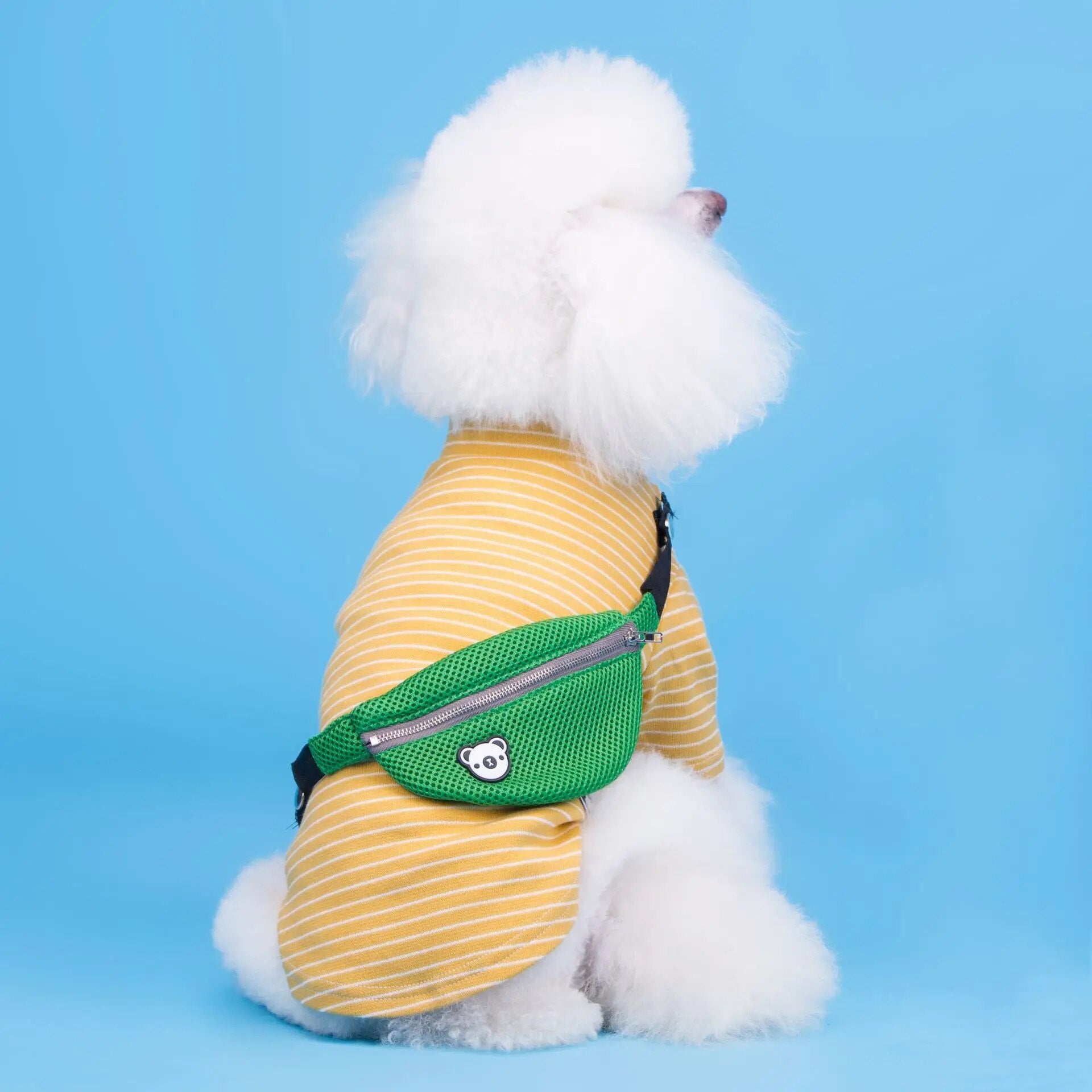 PETZZ™ Wandel Outfit voor Honden