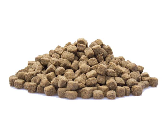 Adult Active - Eten voor de Actieve Volwassen Hond - WOEF Boetiek