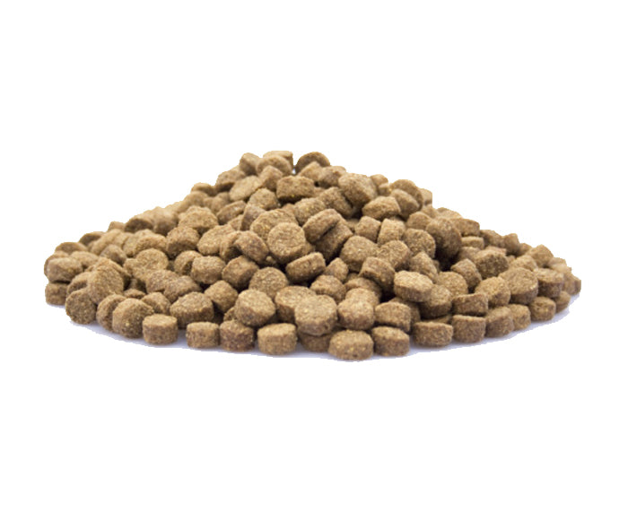 Adult Economic - Voer voor rustige volwassen honden - WOEF Boetiek