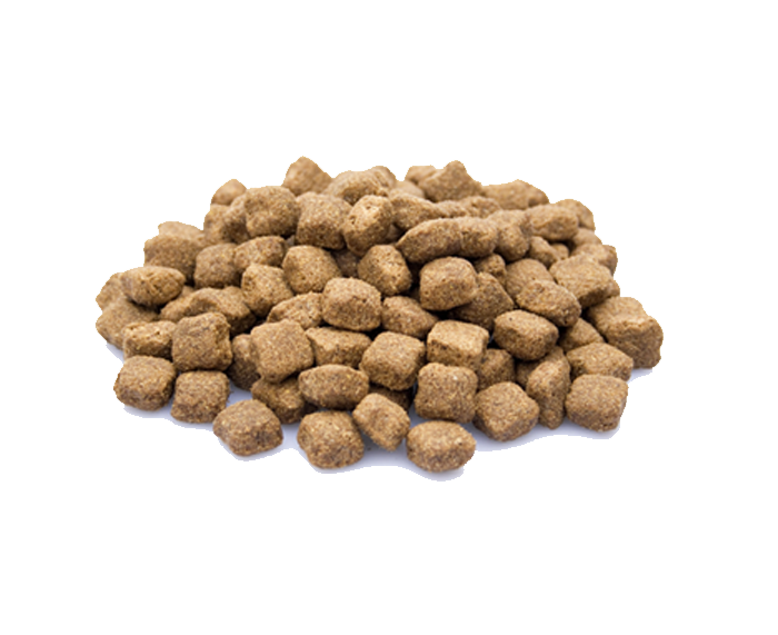 Adult Maxi Hondenvoer - De beste brokken voor honden - WOEF Boetiek