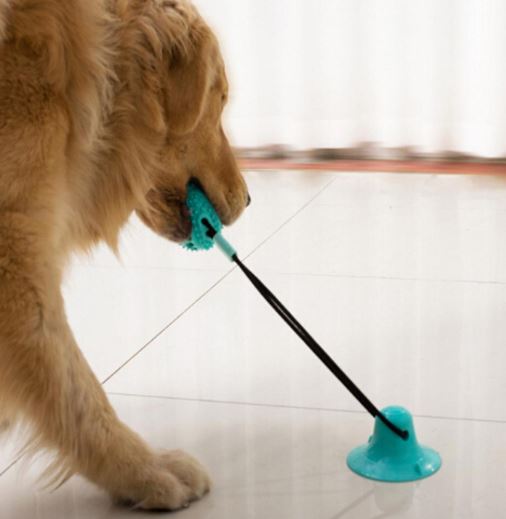 PETZZ Zuignap Bal Met Snoepjes - Speelgoed voor Honden - WOEF Boetiek