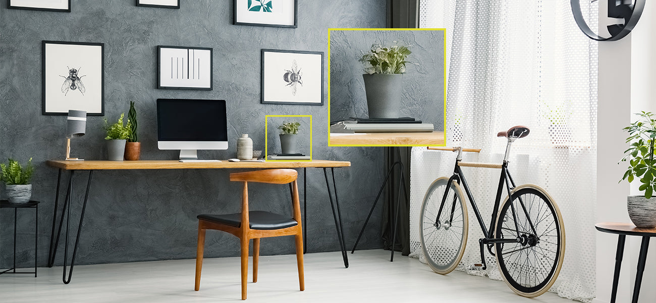 Smart Home Camera - Veilig Thuis - Online Hondenhoek Winkel