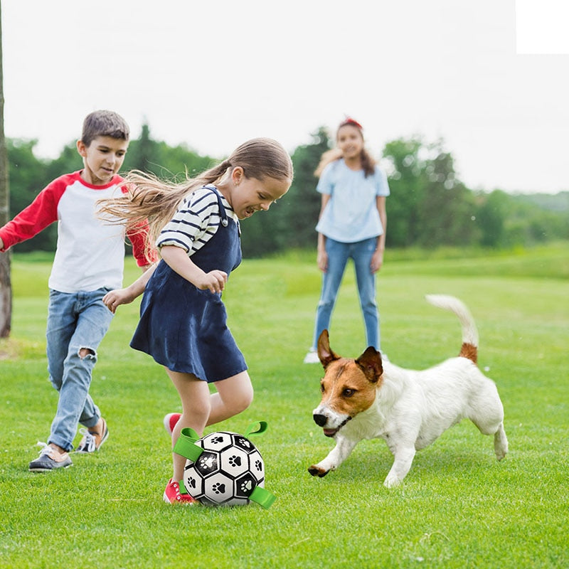 PETZZ Honden Voetbal - Bijtbestendige Bal - Hondenhoek