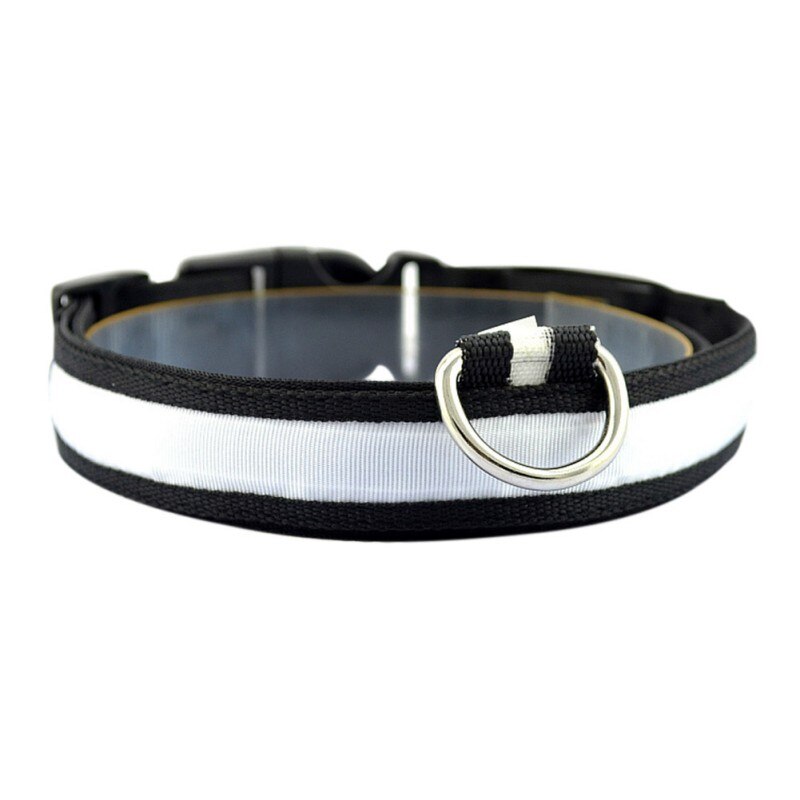 PETZZ™ Glow In The Dark Halsband