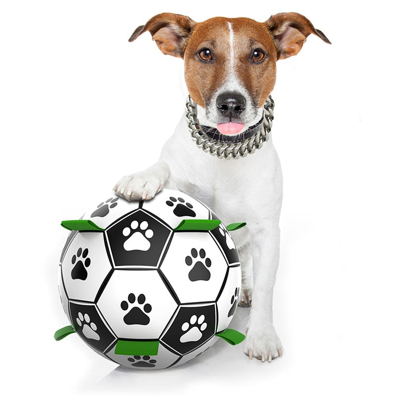 PETZZ Honden Voetbal - Bijtbestendige Bal - Hondenhoek