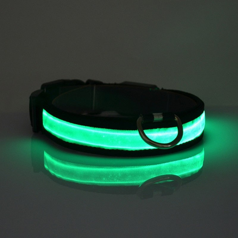 PETZZ™ Glow In The Dark Halsband