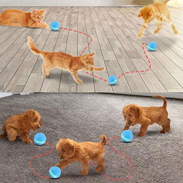 PETZZ WiggleBall - Laat Uw Hond Uren Lang Zelf Spelen - Hondenhoek