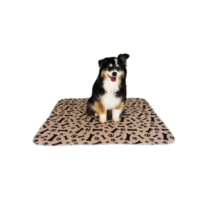 Petzz Potty Training Mat - Voorkom Plasjes in Huis - Absorberend