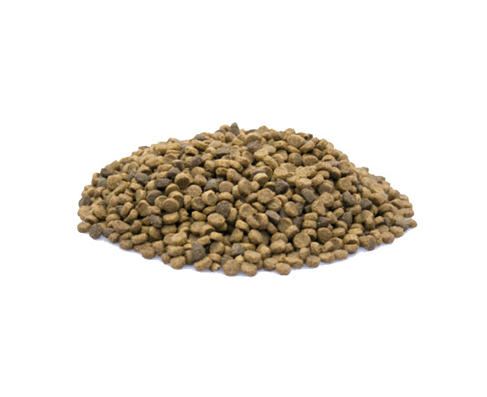 Premium Puppy - Het Beste Voer voor Puppies - WOEF Boetiek