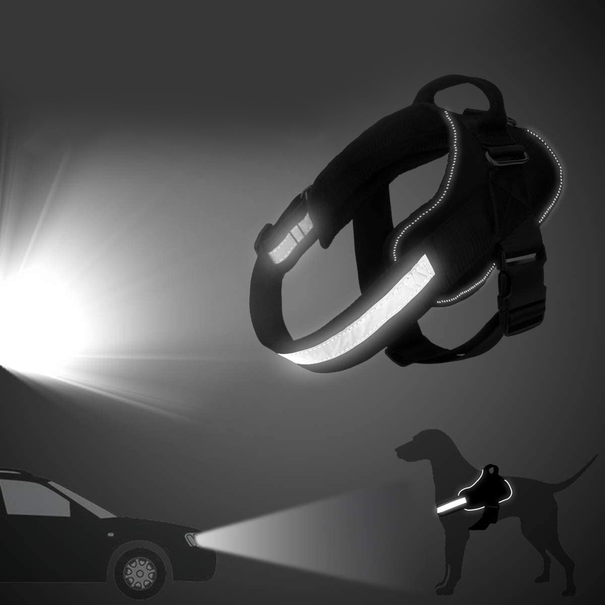Gepersonaliseerde 1-Klik Harnas | Harnassen en Lijnen voor Honden