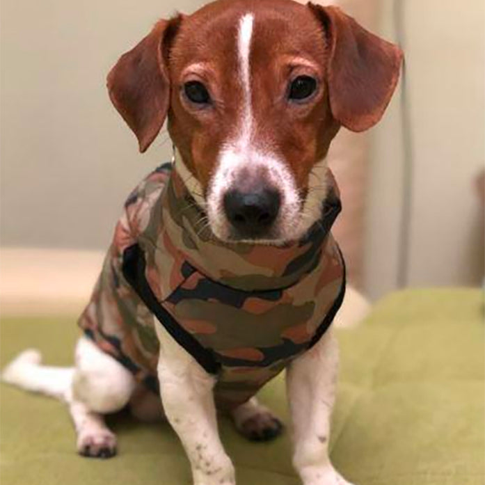 Warme Hondenjas - Kleding voor honden - WOEF Boetiek