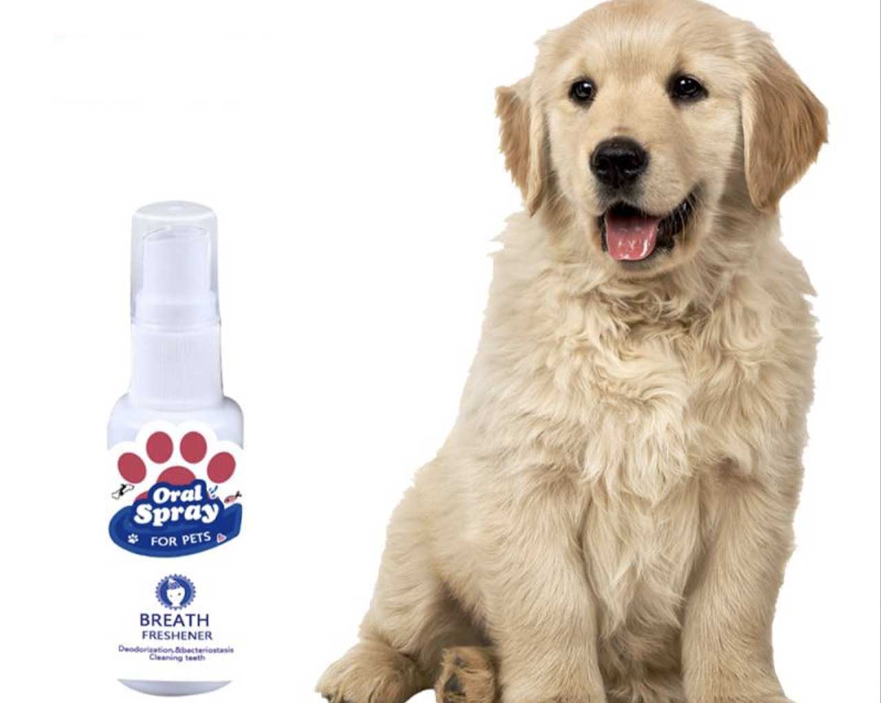 PETZZ Anti-Bacteriële Mondspray - Hygiëne & Verzorging - Hondenhoek