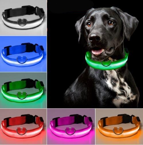 PETZZ™ Glow In The Dark Halsband