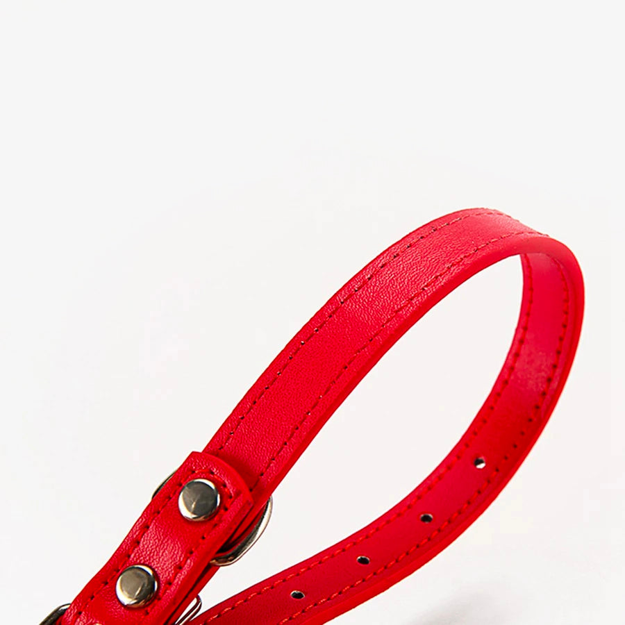 Kleurrijke Honden Halsband - Riemen voor kleine hondjes - WOEF Boetiek