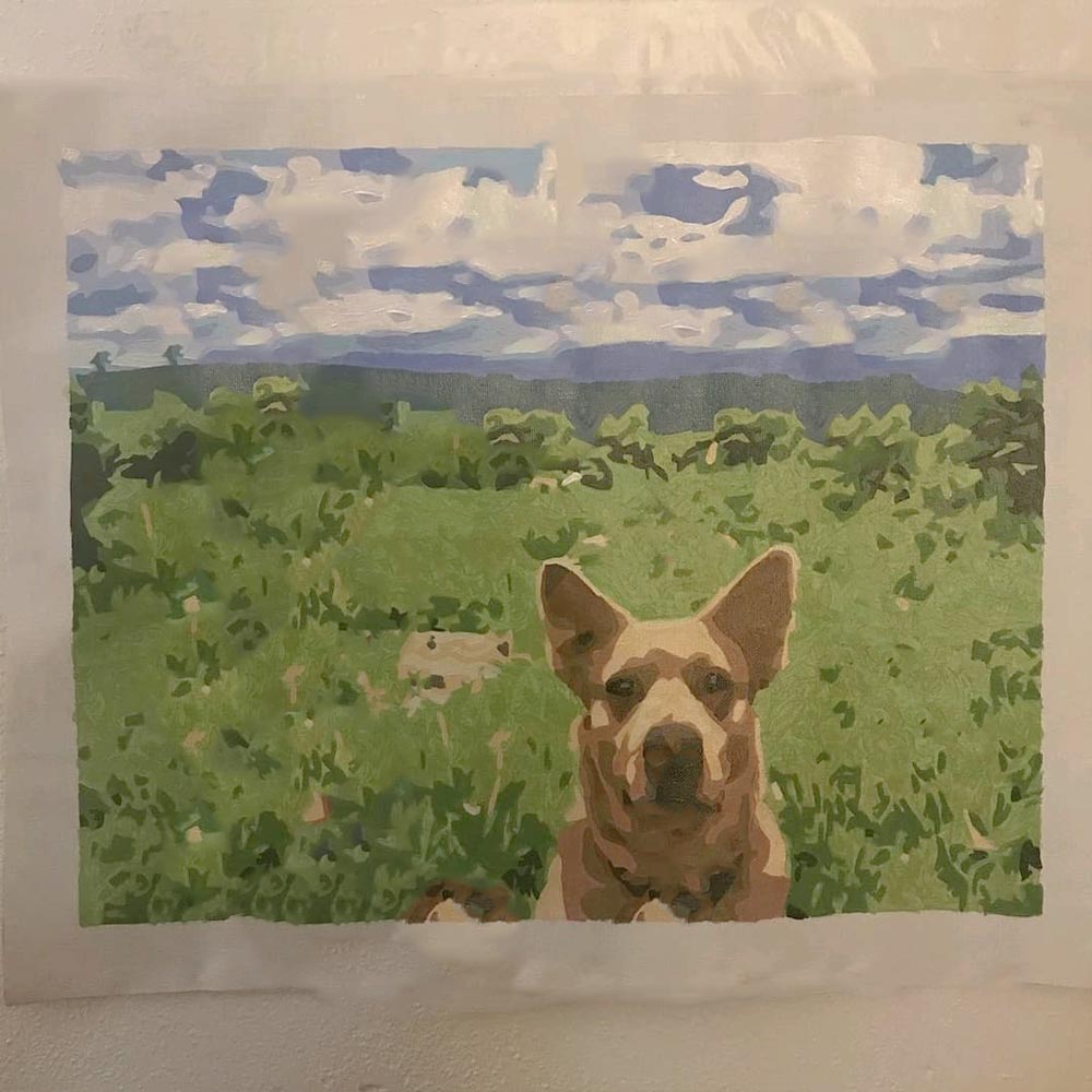 PETZZ Painting by Numbers - Verf uw Hond - Lockdown Inspiratie - Hondenhoek WOEF Boetiek