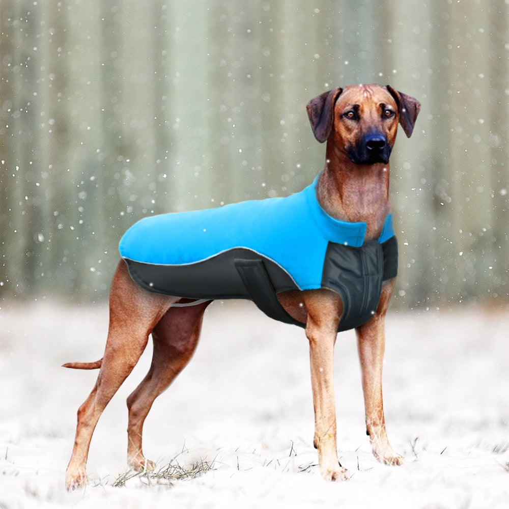 Winter Waterproof Honden Jas - Warm de Herfst in - WOEF Boetiek