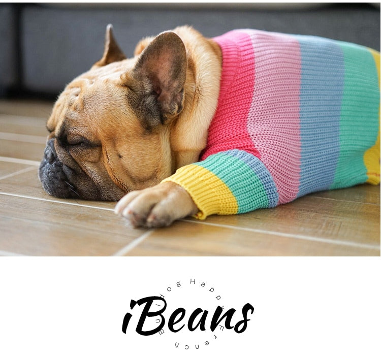 iBeans Hipster Doggo Trui - WOEF Boetiek - alles voor uw hond