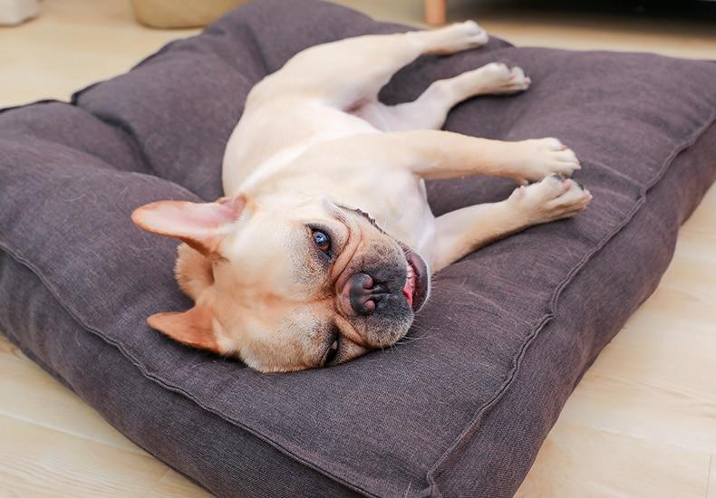 Hoopet Honden Ligzak - Heerlijk Slapen en Relax - Hondenhoek