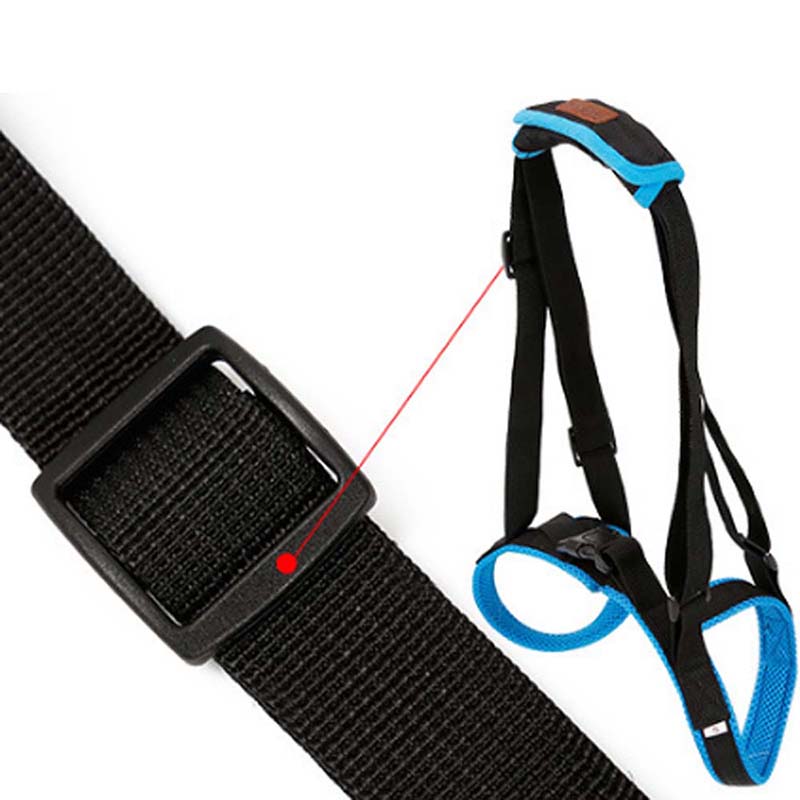 PETZZ Ondersteunende Heupband - Veiligheid voor de hond - WOEF Boetiek