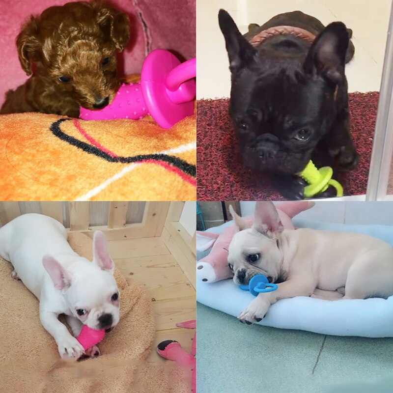 Honden Speen - Goedkoop speelgoed voor hondjes - Hondenhoek Online