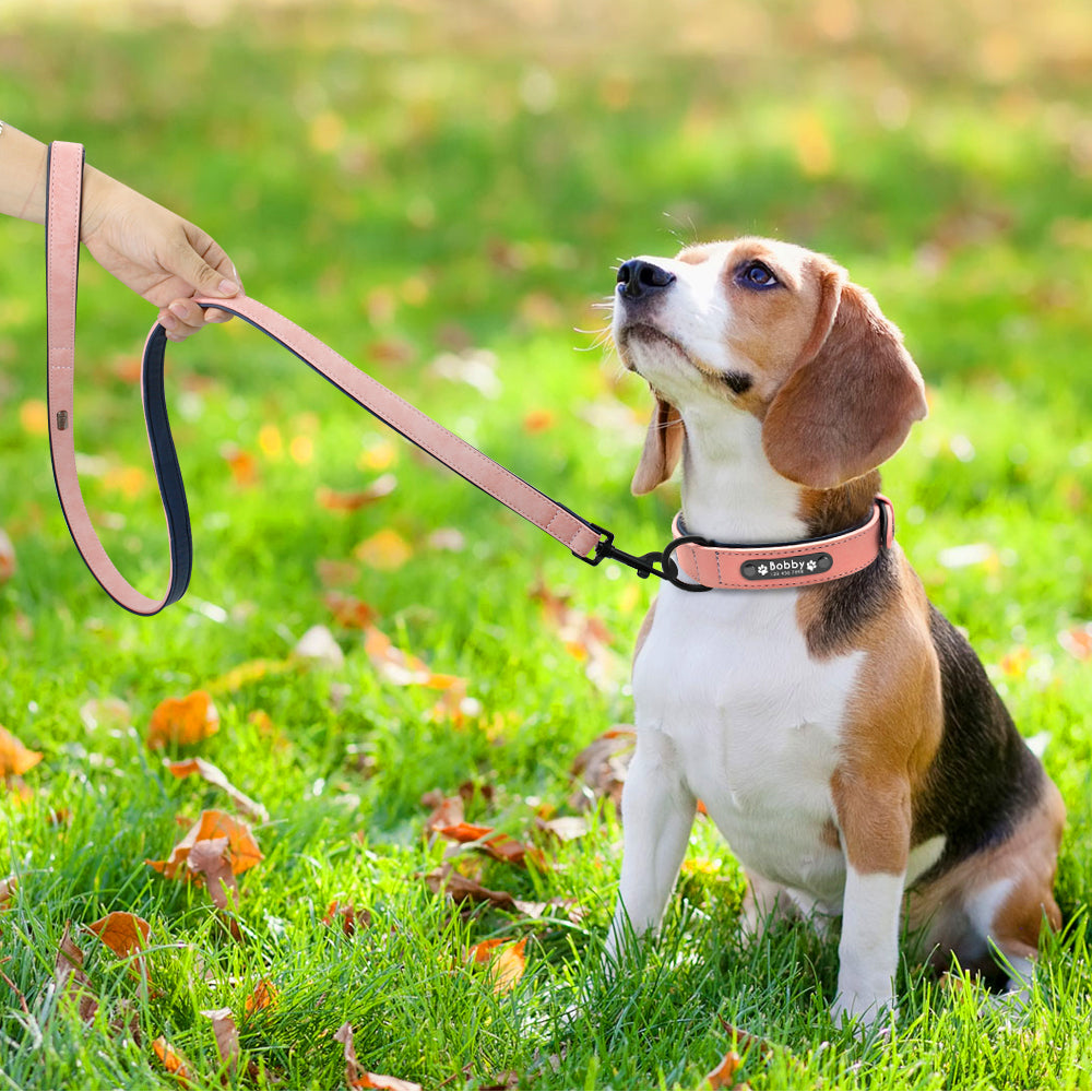 Gepersonaliseerde Lederen Halsband - Honden Halsband - Hondenhoek