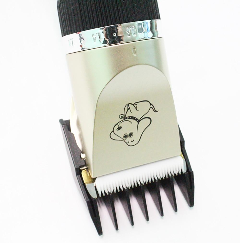 Baorun™ Silent Tondeuse