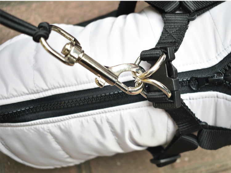 PETZZ Fietsriem Deluxe - Roestvrij Staal - Actief fietsen met de hond