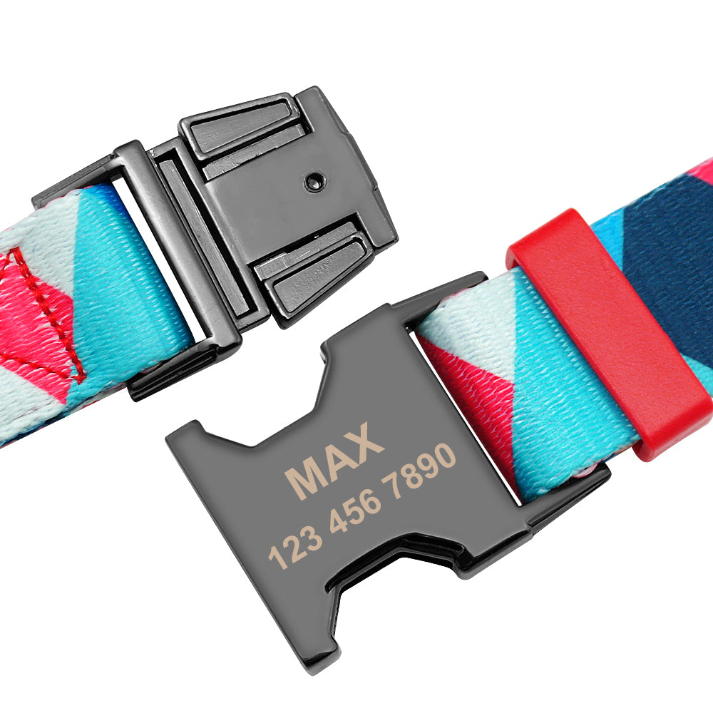 PETZZ Kleurrijke Gepersonaliseerde Halsband - GRATIS Riem voor Honden