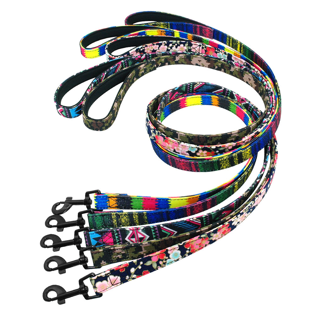 PETZZ Kleurrijke Hondenriem - Riemen en Leibanden voor Honden kopen