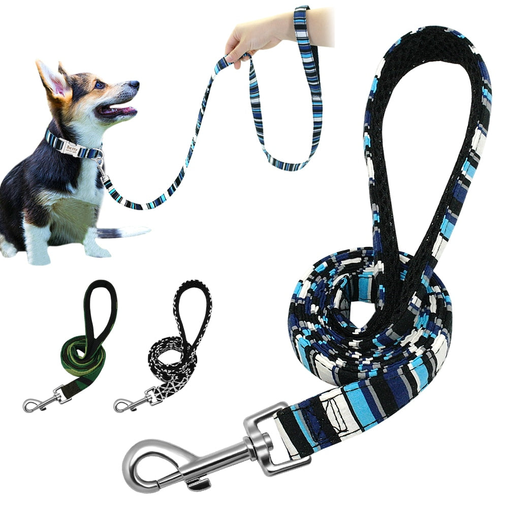 PETZZ Kleurrijke Hondenriem - Riemen en Leibanden voor Honden kopen