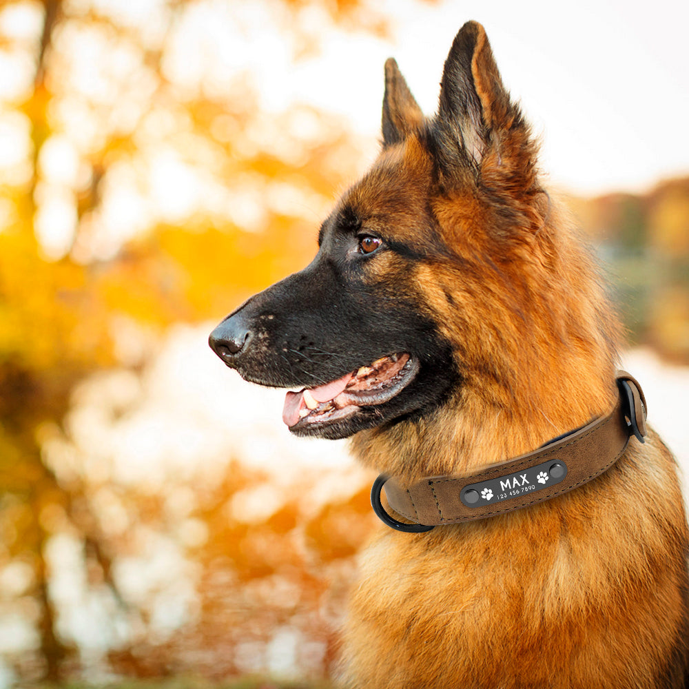 Gepersonaliseerde Lederen Halsband - Honden Halsband - Hondenhoek