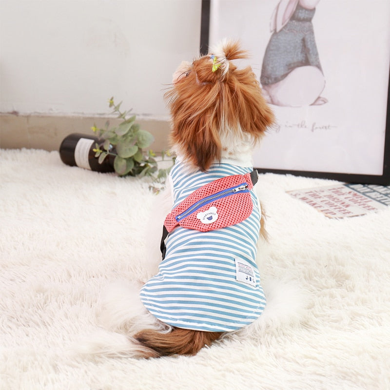PETZZ Wandel Outfit voor Honden - Heerlijk Wandelen met de Viervoeter