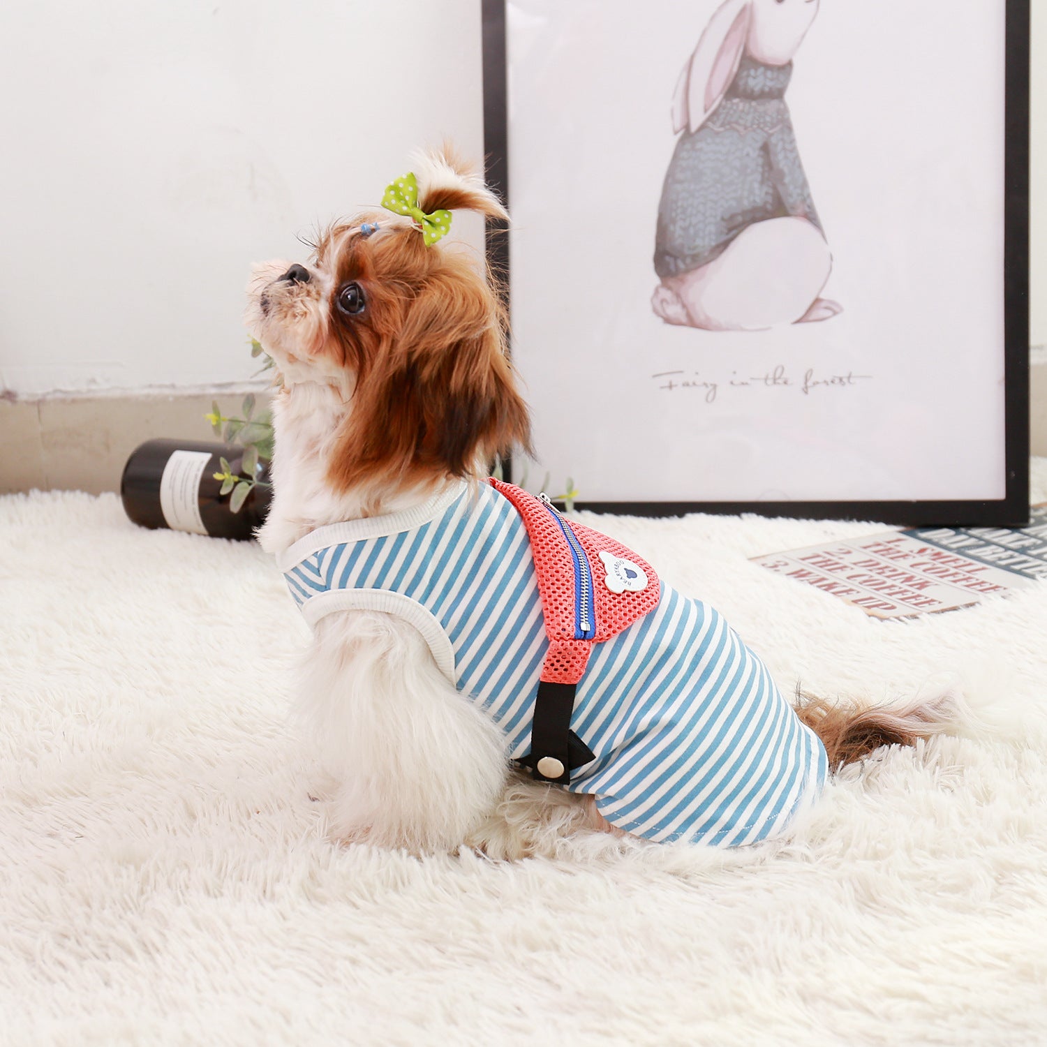 PETZZ Wandel Outfit voor Honden - Heerlijk Wandelen met de Viervoeter