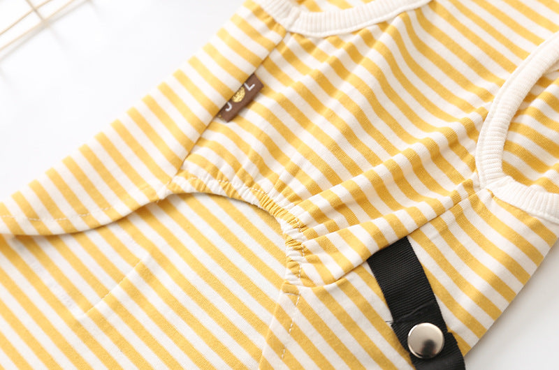 PETZZ Wandel Outfit voor Honden - Heerlijk Wandelen met de Viervoeter