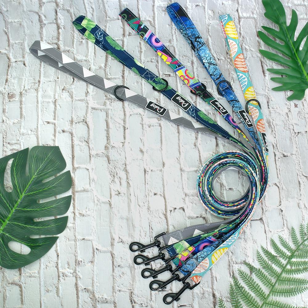 PETZZ Kleurrijke Hondenriem - Riemen en Leibanden voor Honden kopen