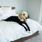 PETZZ Beschermende herstel onesie - Voor honden na operaties - WOEF