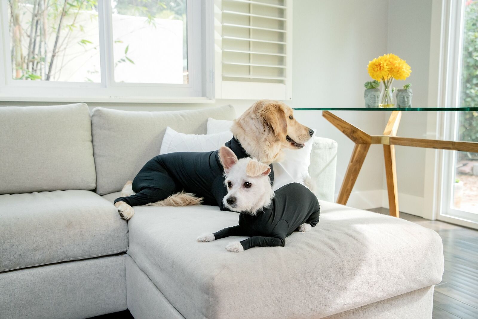 PETZZ Beschermende herstel onesie - Voor honden na operaties - WOEF