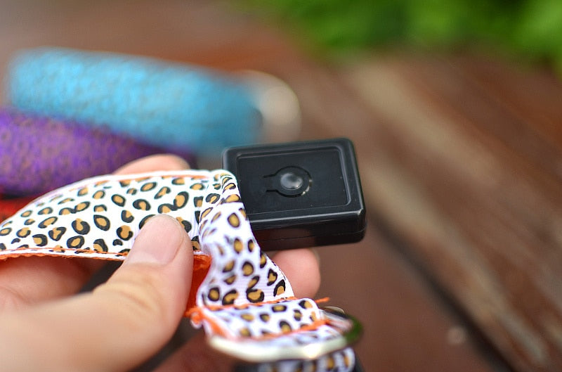 PETZZ Glow In The Dark Luipaard Halsband - Veilig op pad - Hondenhoek