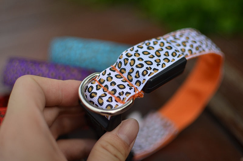 PETZZ Glow In The Dark Luipaard Halsband - Veilig op pad - Hondenhoek