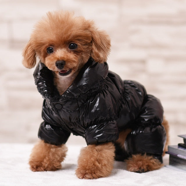 PETZZ Warme Winterjas - Een jas voor honden - Pret in winter - Hondenhoek