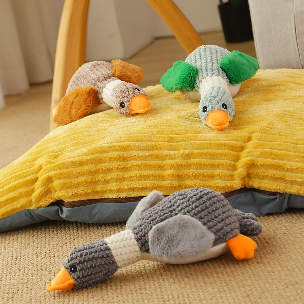 HOOPET Piepende Eenden Speeltje - Koop hondenspeelgoed online - WOEF