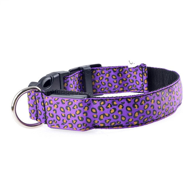 PETZZ Glow In The Dark Luipaard Halsband - Veilig op pad - Hondenhoek