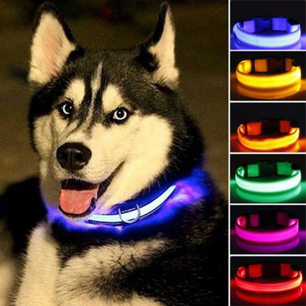 Glow In The Dark Halsband - Halsbanden voor honden - Hondenhoek