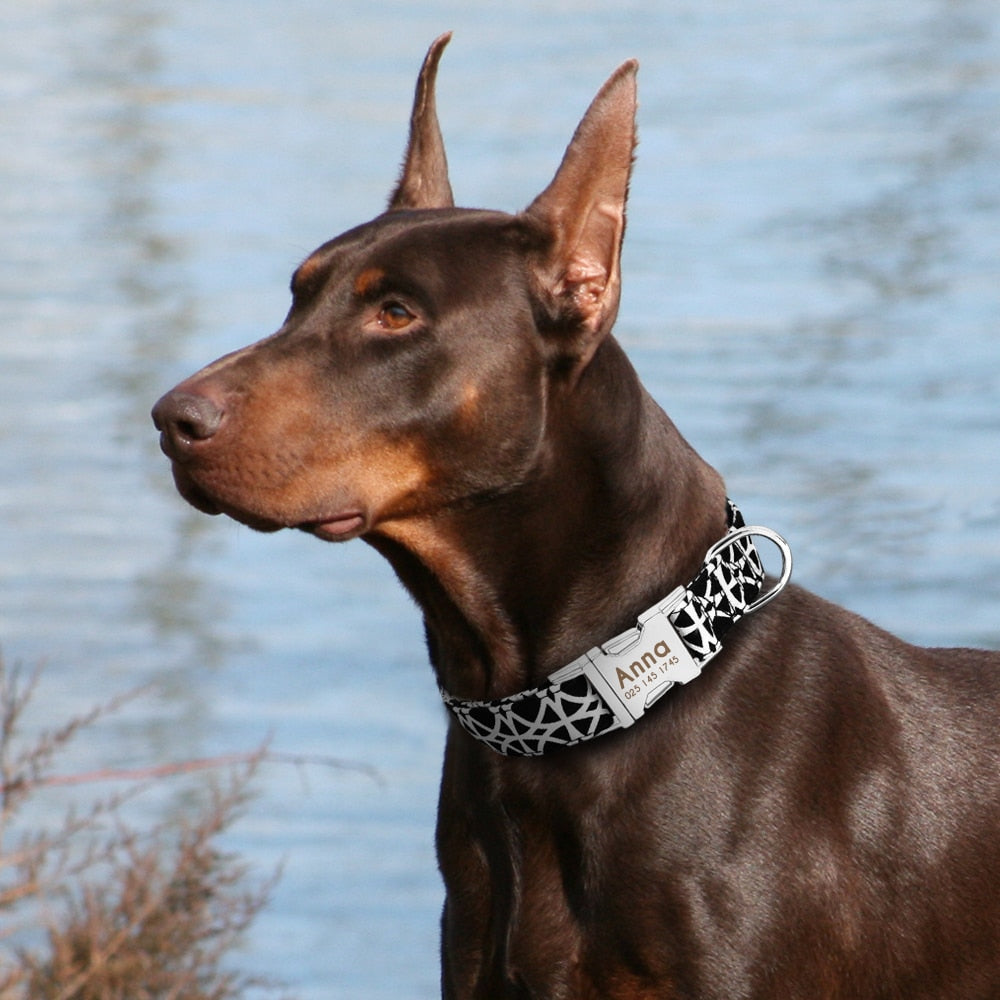 GEPERSONALISEERDE Halsband - Inclusief naam voor honden - WOEF Boetiek