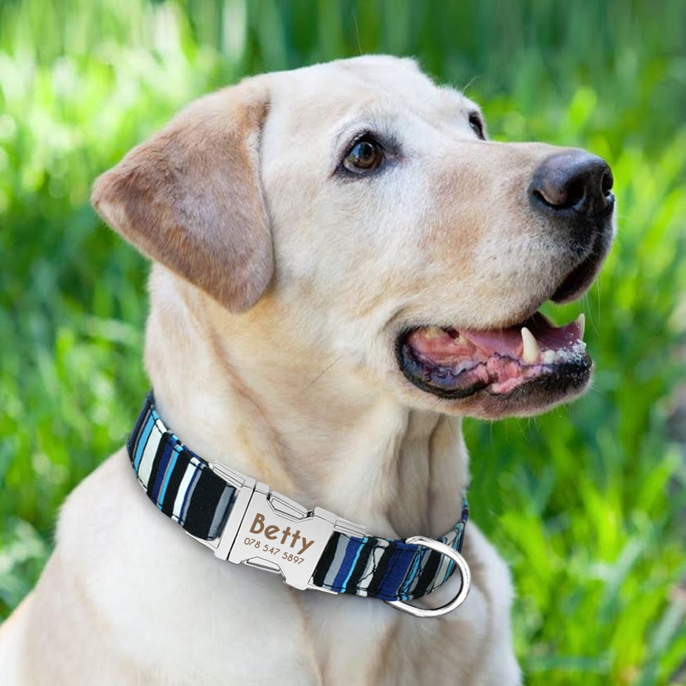 GEPERSONALISEERDE Halsband - Inclusief naam voor honden - WOEF Boetiek